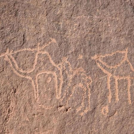 Wadi Rum Albasli מראה חיצוני תמונה