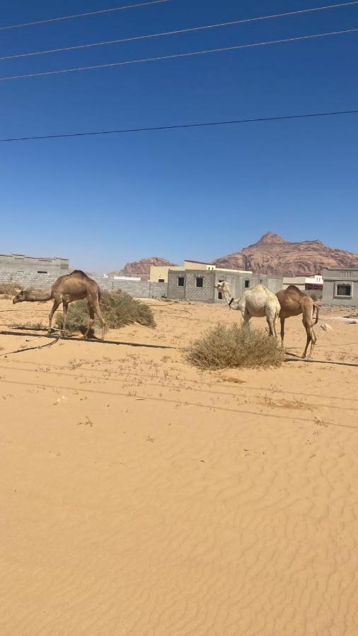 Wadi Rum Albasli מראה חיצוני תמונה