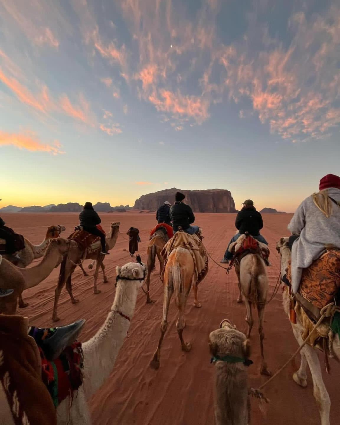 Wadi Rum Albasli מראה חיצוני תמונה