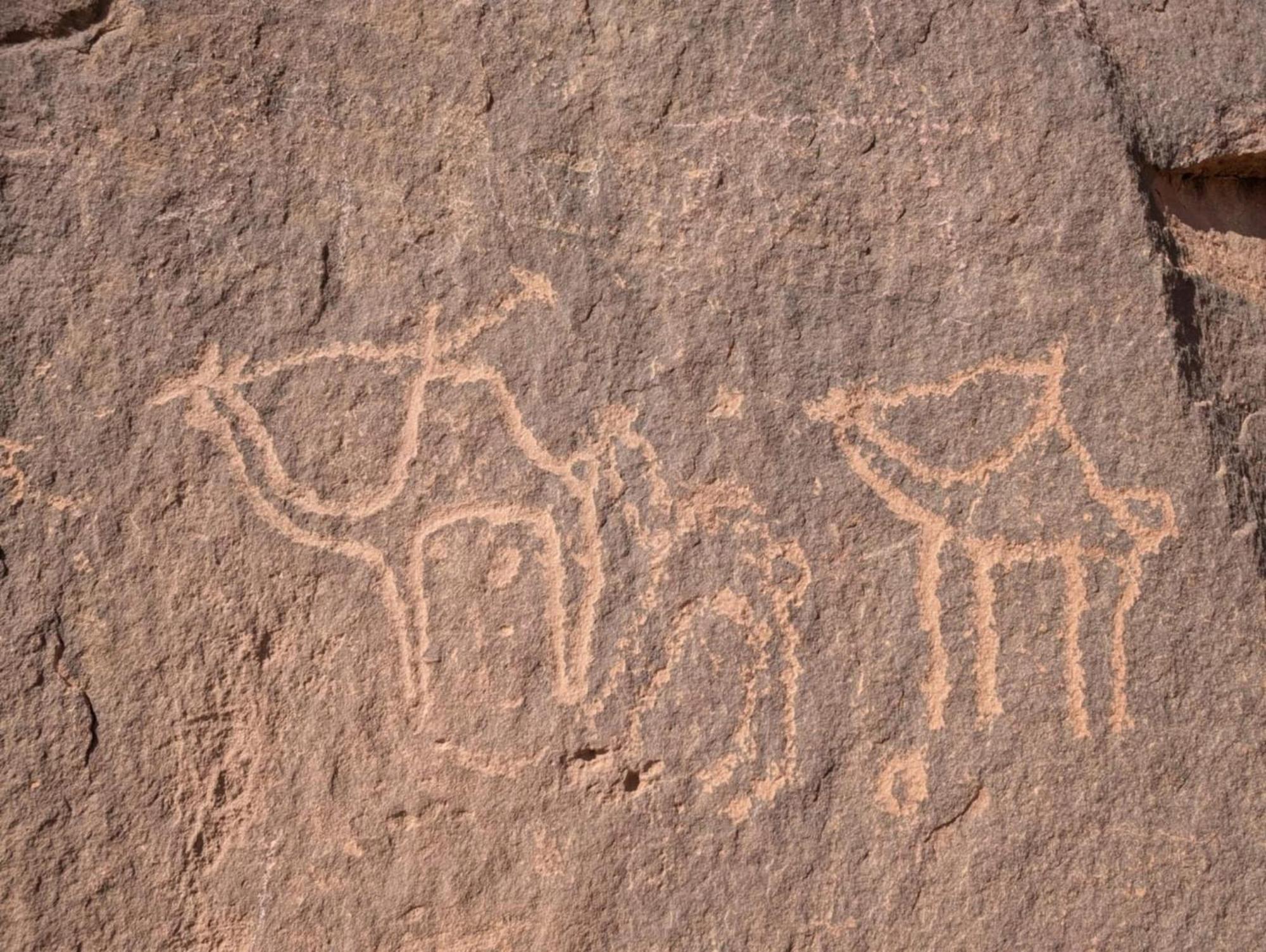 Wadi Rum Albasli מראה חיצוני תמונה