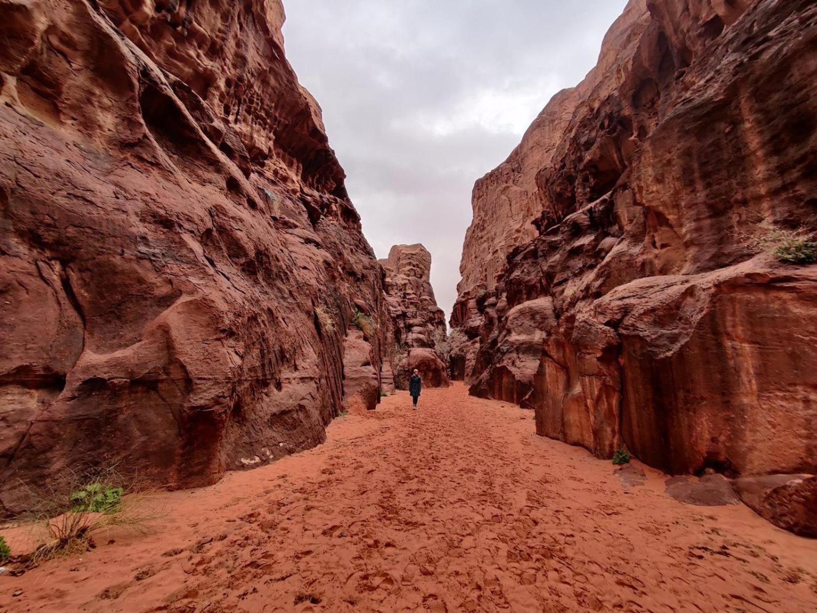 Wadi Rum Albasli מראה חיצוני תמונה